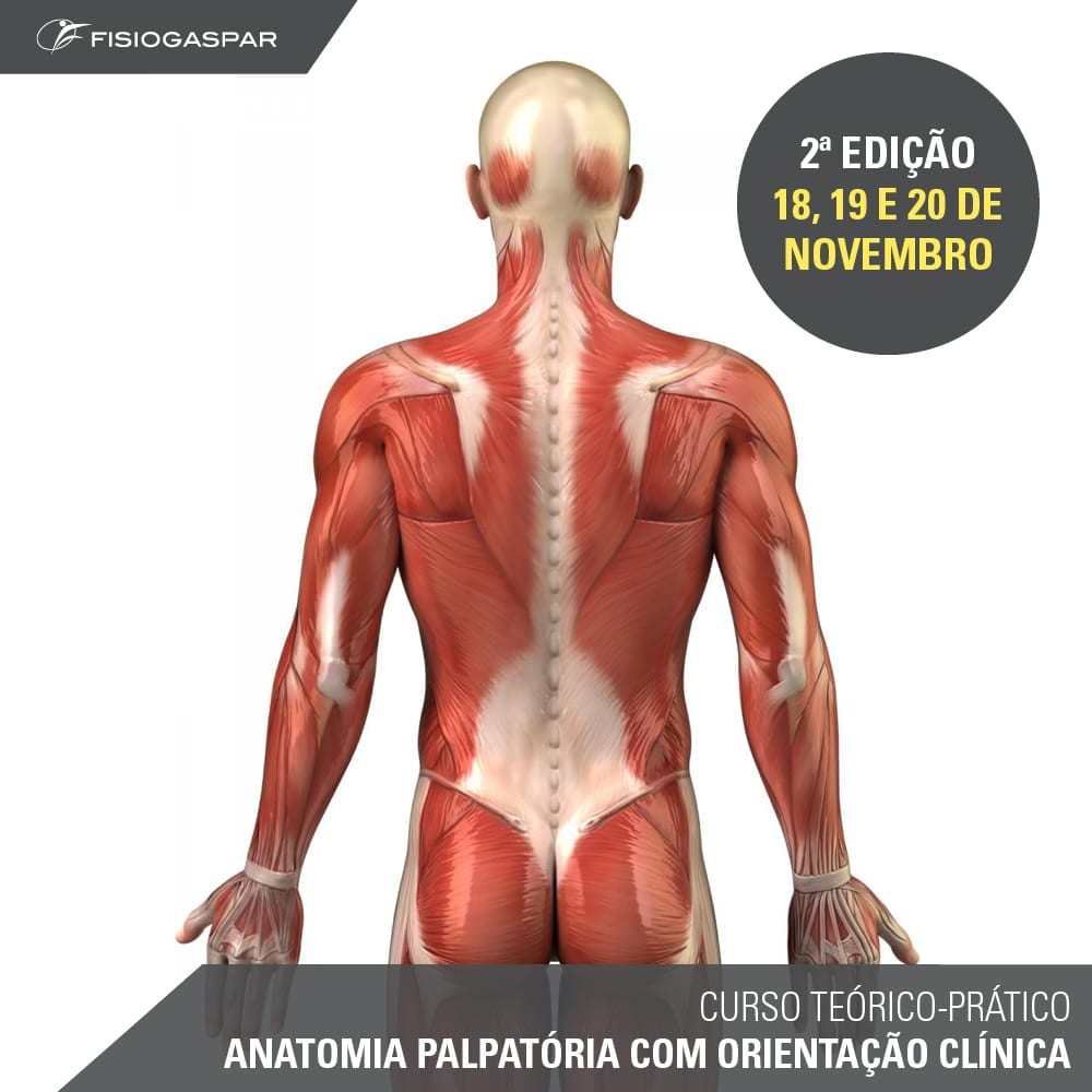 curso teórico-prático anatomia palpatoria com orientação clinica