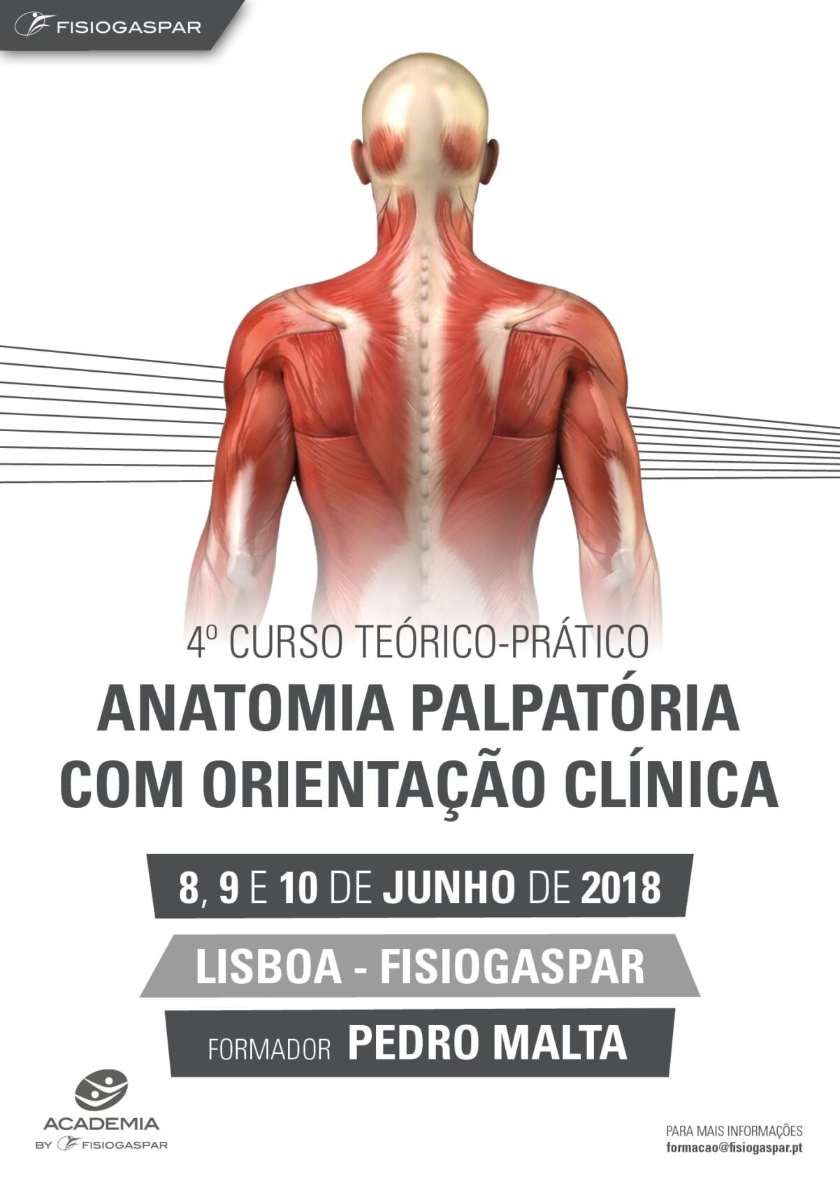 anatomia palpatória